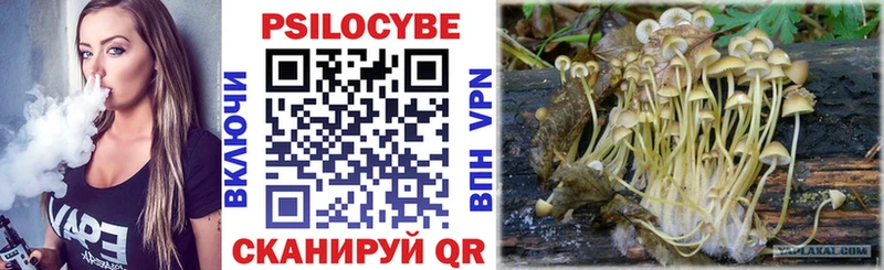 мега   Красноармейск  Псилоцибиновые грибы GOLDEN TEACHER 